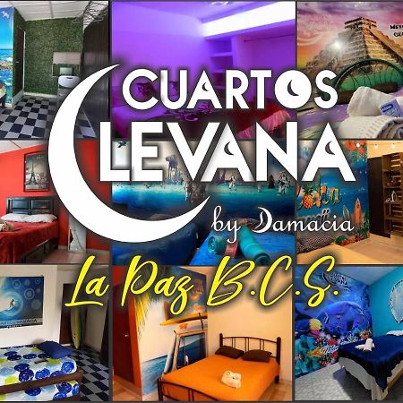Cuartos Levana La Paz Daire Dış mekan fotoğraf