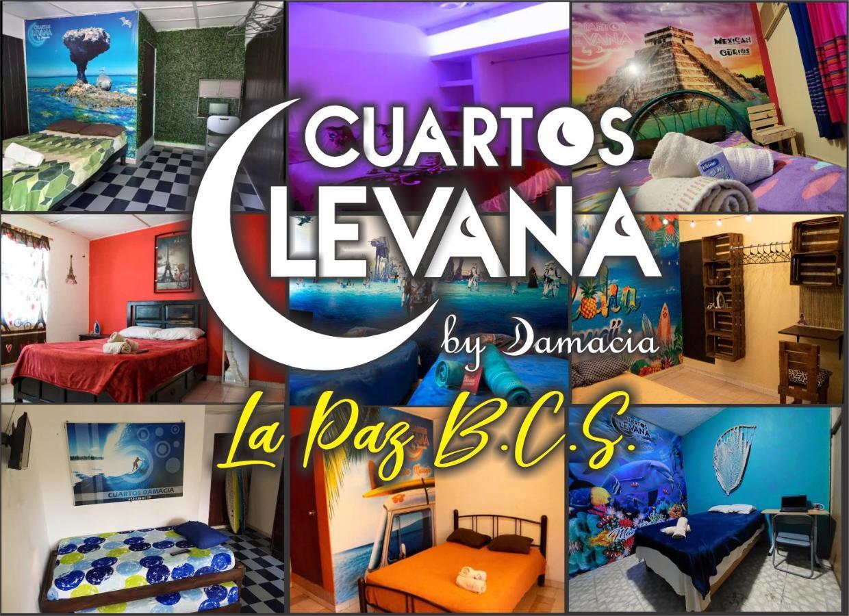 Cuartos Levana La Paz Daire Dış mekan fotoğraf