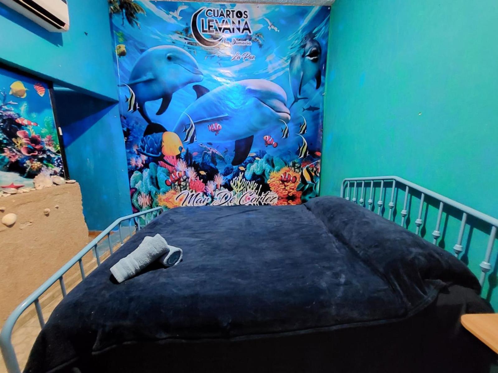 Cuartos Levana La Paz Daire Dış mekan fotoğraf